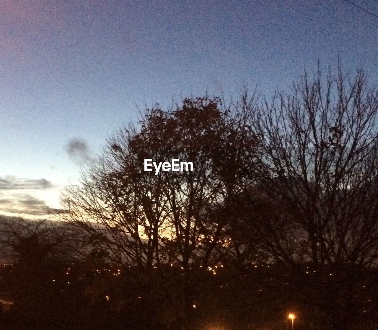 LOW ANGLE VIEW OF BARE TREES AGAINST SKY AT DUSK