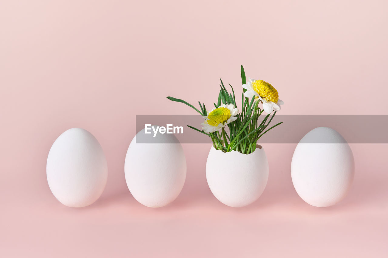 close-up of easter egg on table against white background