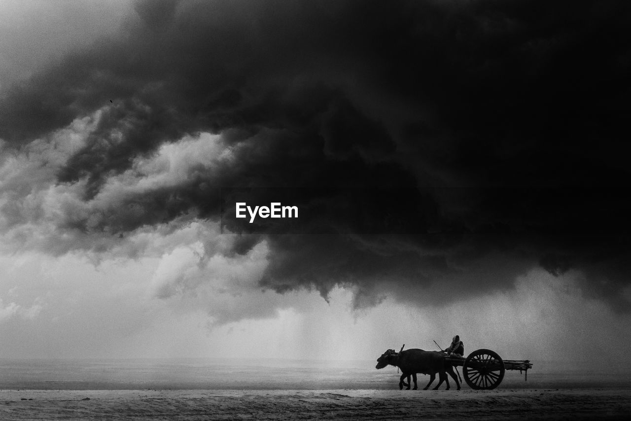 People riding buffalo cart in cloudy sky