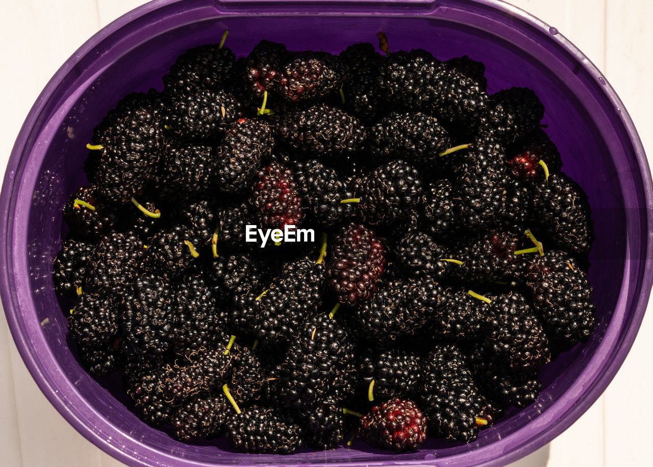 blackberry, purple, food and drink, food, healthy eating, produce, wellbeing, fruit, freshness, plant, berry, indoors, violet, no people, directly above, black, container, bowl, still life