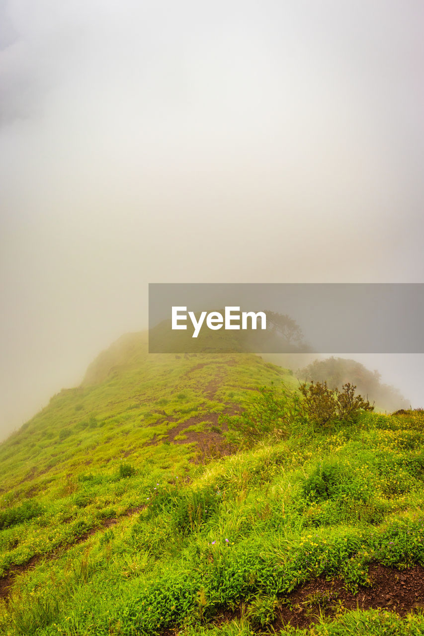 Mountain with green grass and thick clouds image is showing the amazing beauty