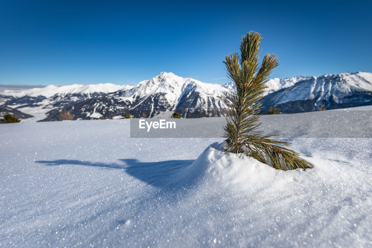 Scenic view of snow covered field against sky