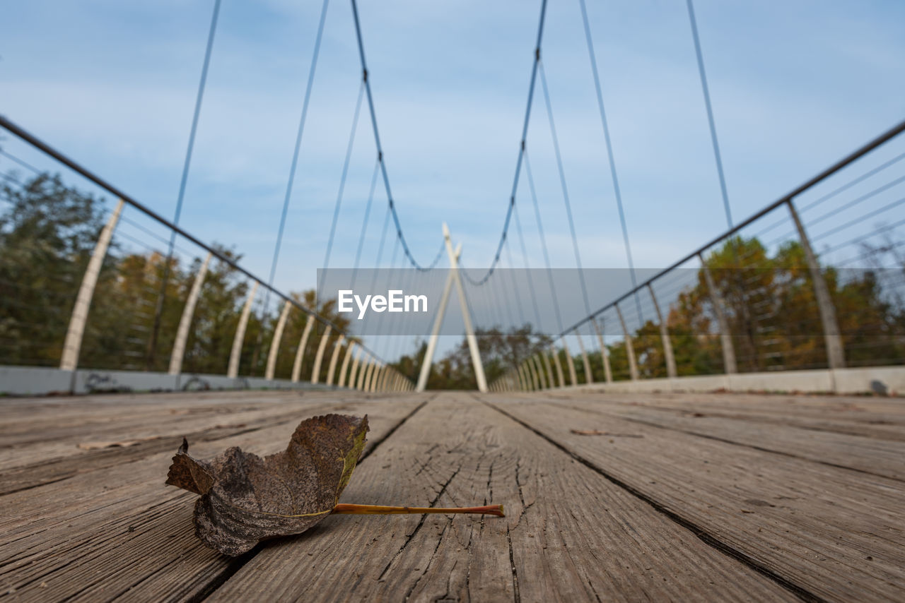 CLOSE-UP OF AN ANIMAL ON BRIDGE AGAINST SKY