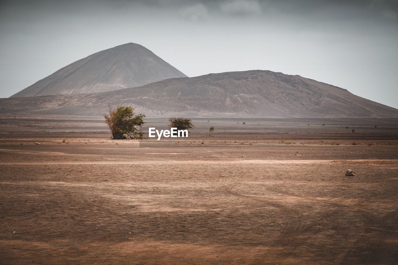 Scenic view of desert land