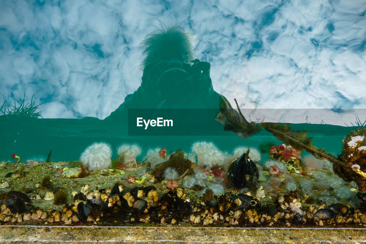 PANORAMIC VIEW OF SEA BY SHORE AGAINST SKY