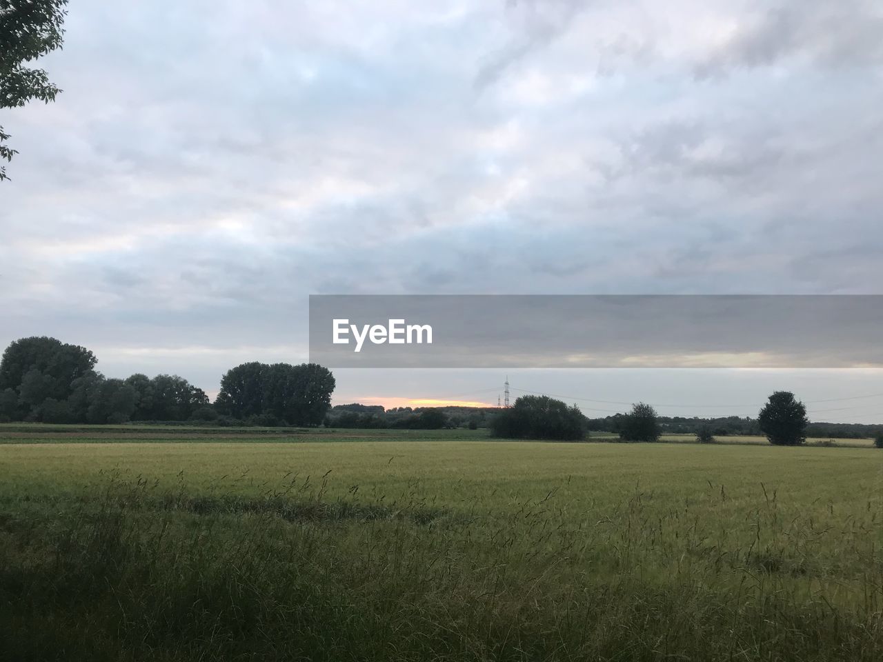 SCENIC VIEW OF FIELD AGAINST CLOUDY SKY