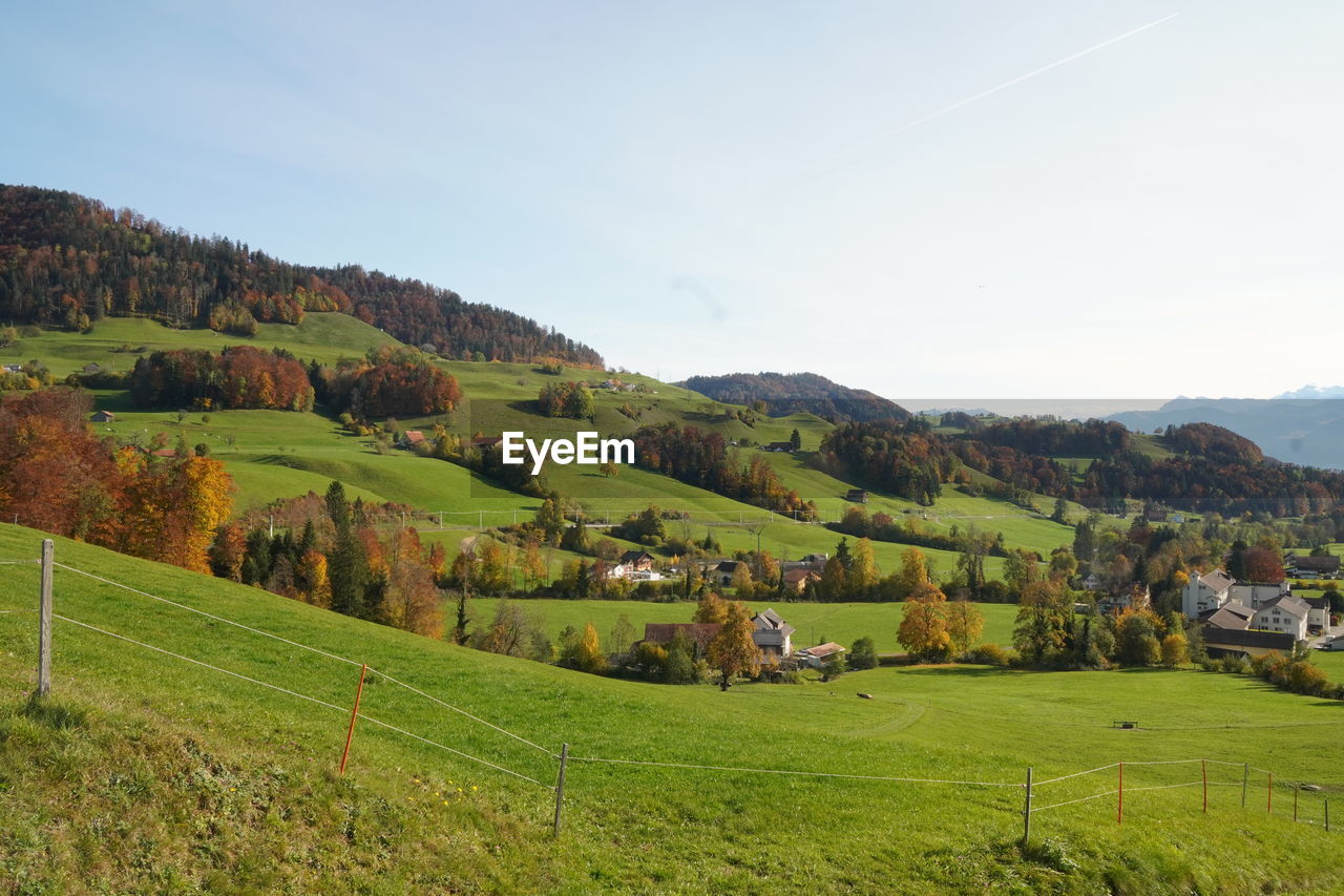 Scenic view of agricultural field against sky