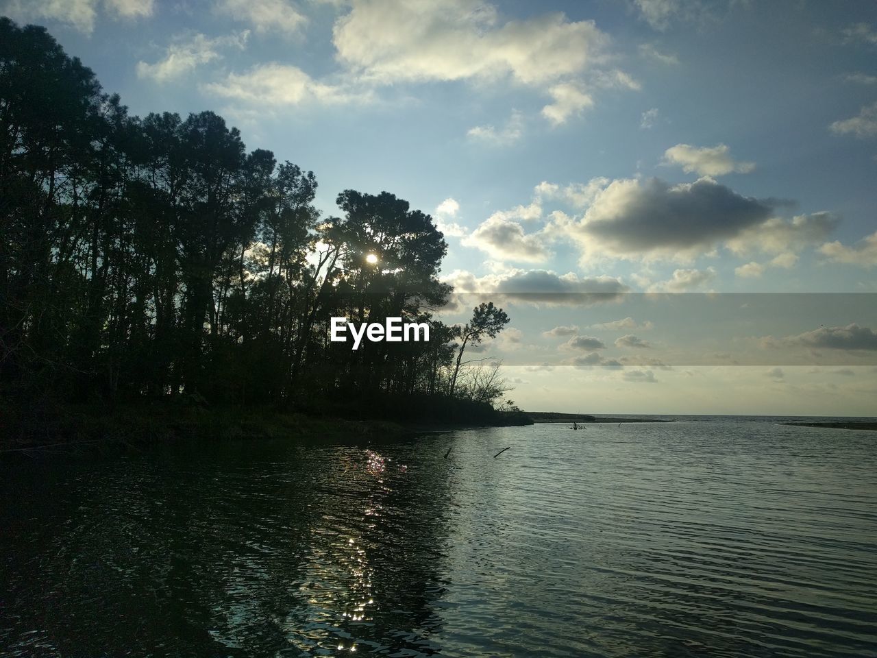 SCENIC VIEW OF LAKE AGAINST SKY AT FOREST