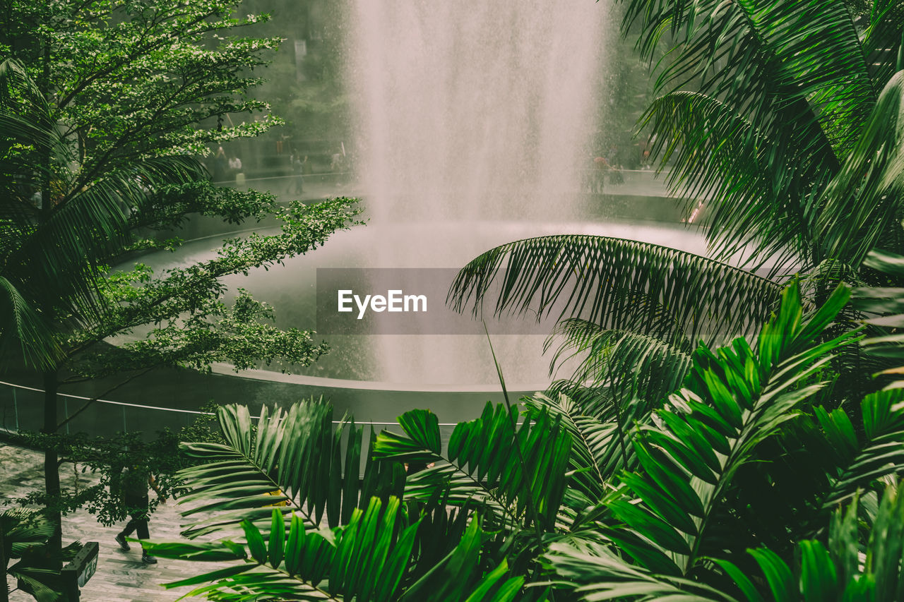 SCENIC VIEW OF PALM TREES AGAINST PLANTS