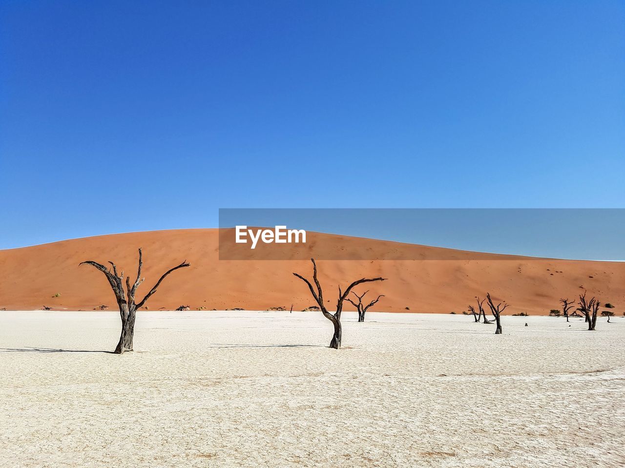 SCENIC VIEW OF DESERT AGAINST SKY