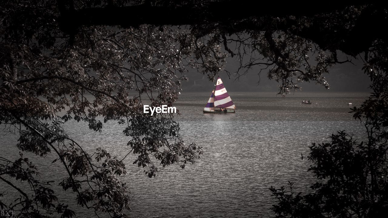 BOAT SAILING ON LAKE AGAINST TREES