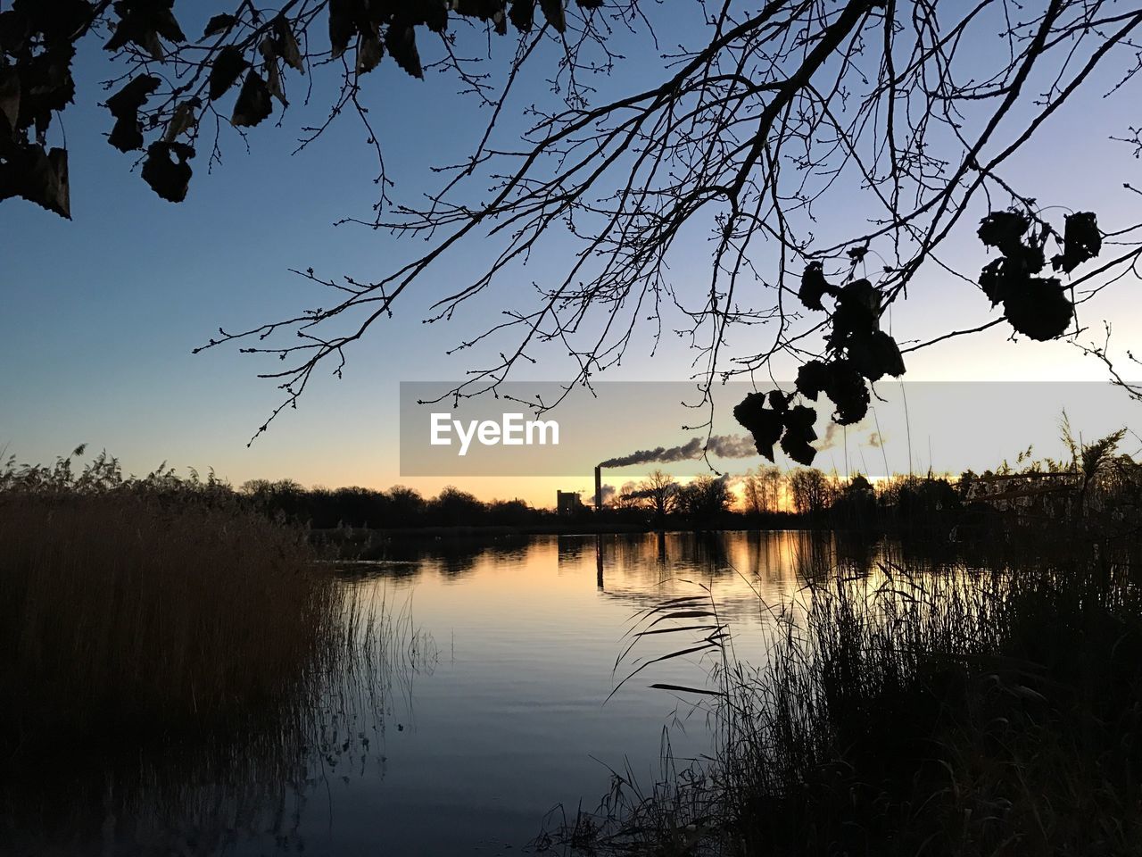 SILHOUETTE TREE BY LAKE AGAINST SKY