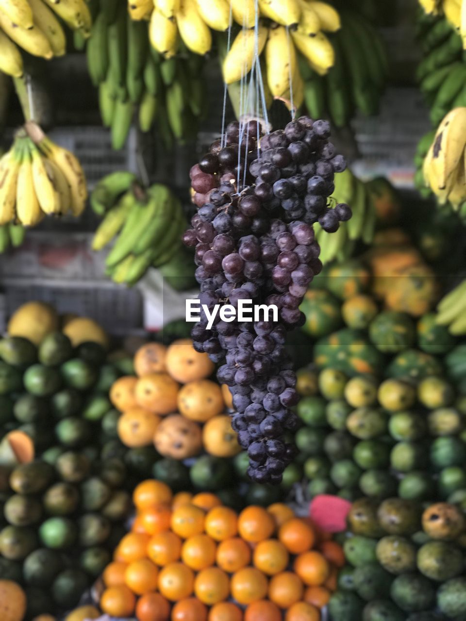 Close-up of grapes hanging at market stall