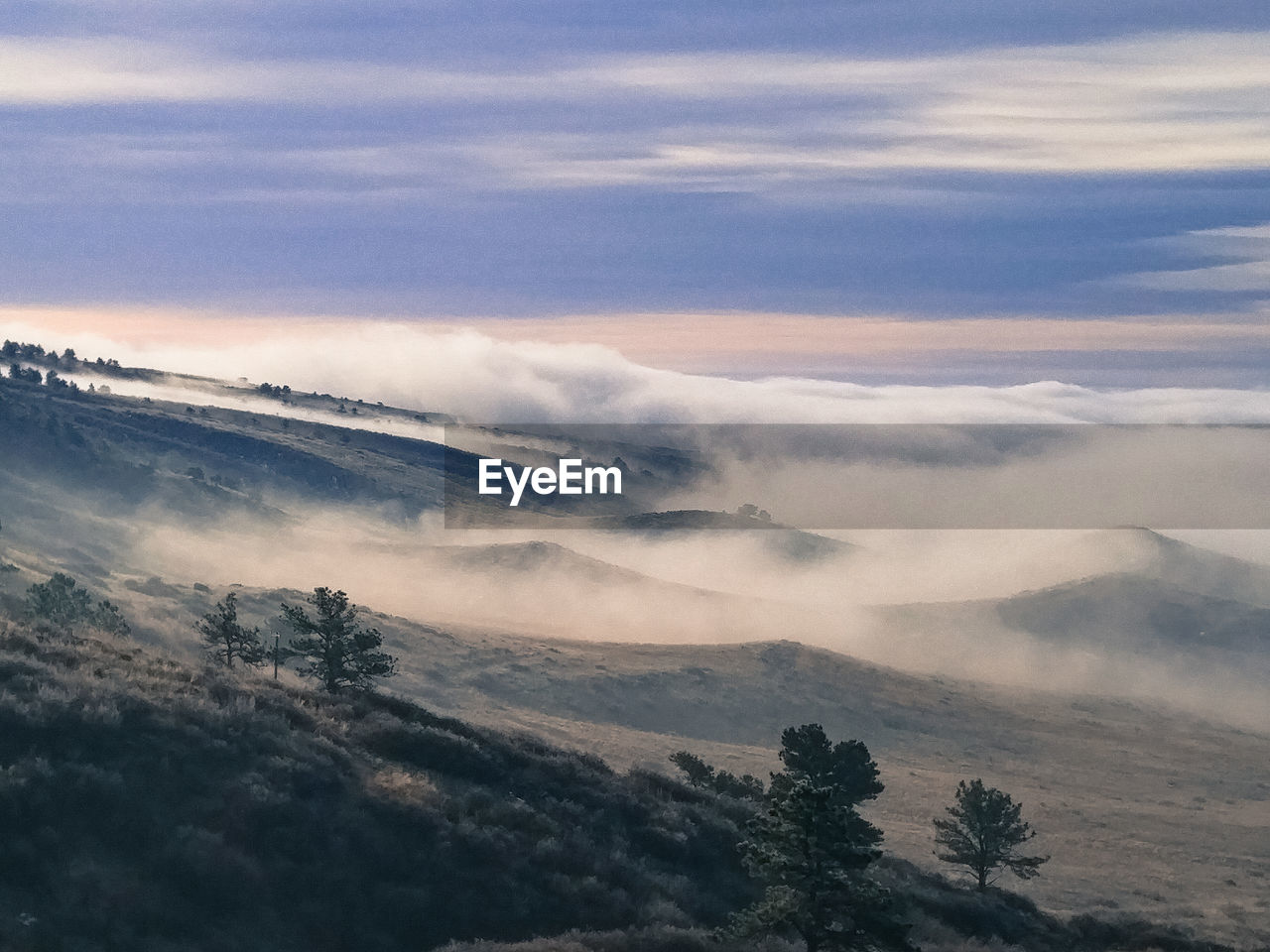 Scenic shot of misty landscape