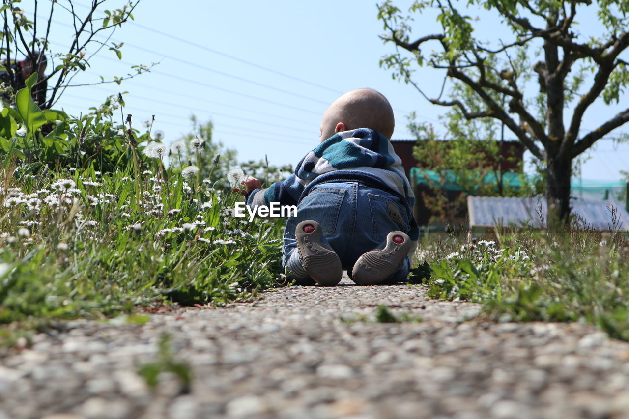 Rear view of baby boy crawling on land by flowering plants against sky