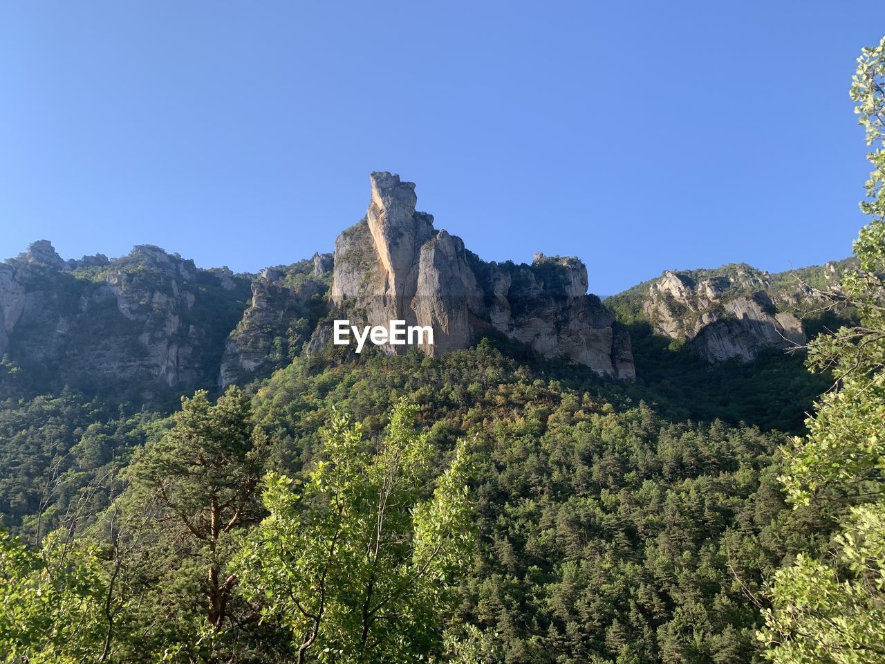 mountain, tree, plant, sky, scenics - nature, nature, wilderness, land, environment, beauty in nature, mountain range, travel destinations, landscape, travel, rock, forest, clear sky, pine tree, no people, blue, coniferous tree, pinaceae, tourism, ridge, non-urban scene, outdoors, tranquility, pine woodland, sunny, park, national park, rock formation, tranquil scene, plateau, green, day, natural environment, valley, mountain peak, adventure, architecture, sunlight, history, idyllic, cliff, terrain, woodland