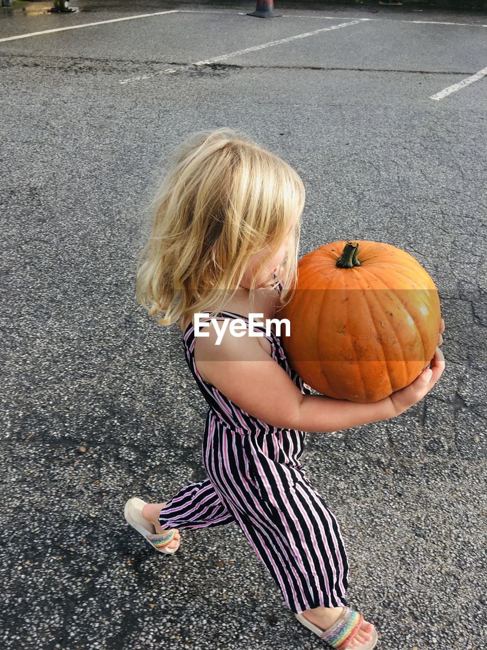 High angle view of girl holding pumpkin while walking on street