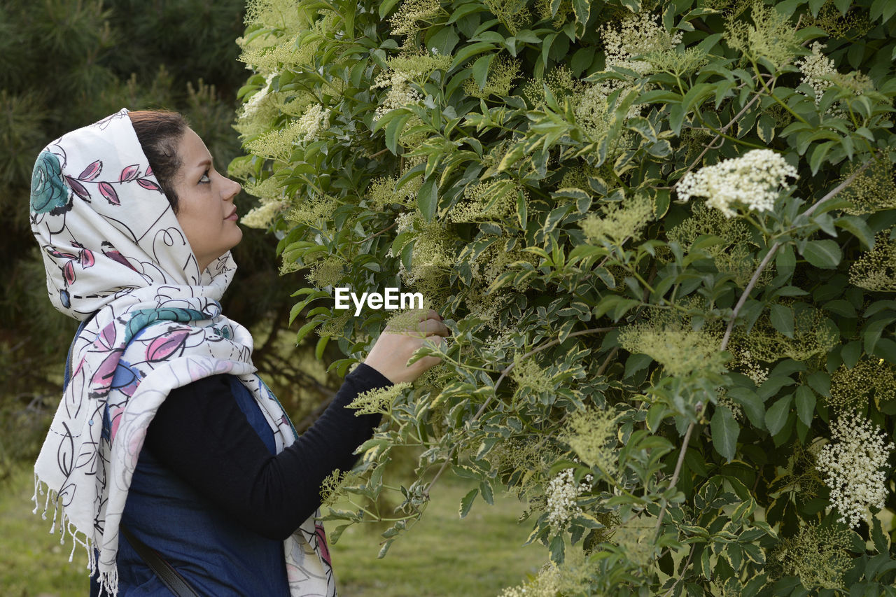 Woman looking at tree while standing in park