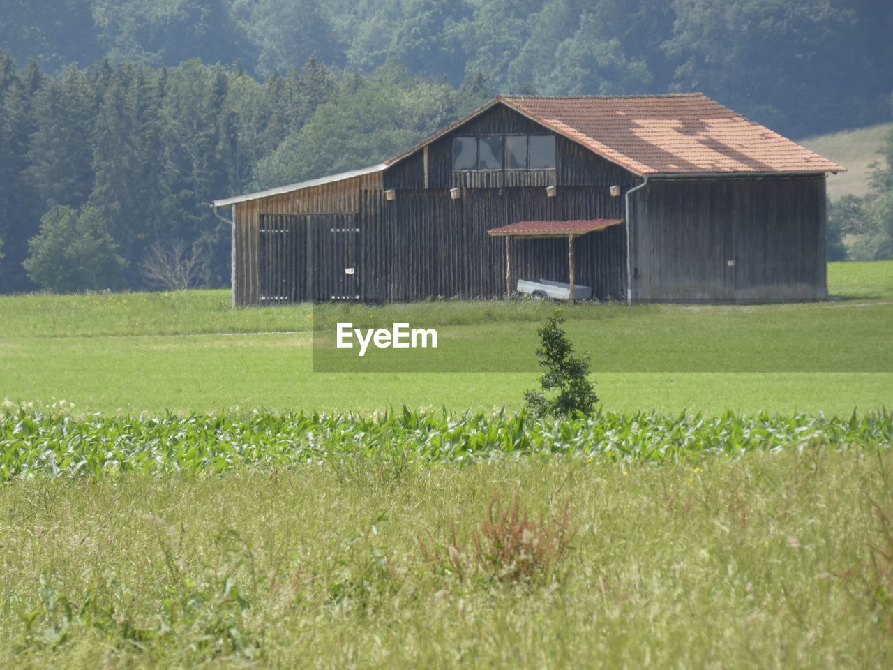 plant, pasture, landscape, built structure, grass, architecture, farm, rural area, rural scene, field, land, green, building exterior, barn, agriculture, nature, prairie, meadow, building, grassland, agricultural building, house, scenics - nature, no people, environment, growth, day, tranquility, beauty in nature, tree, plain, hut, non-urban scene, tranquil scene, wood, residential district, outdoors, mountain, sky, farmhouse, crop, paddy field