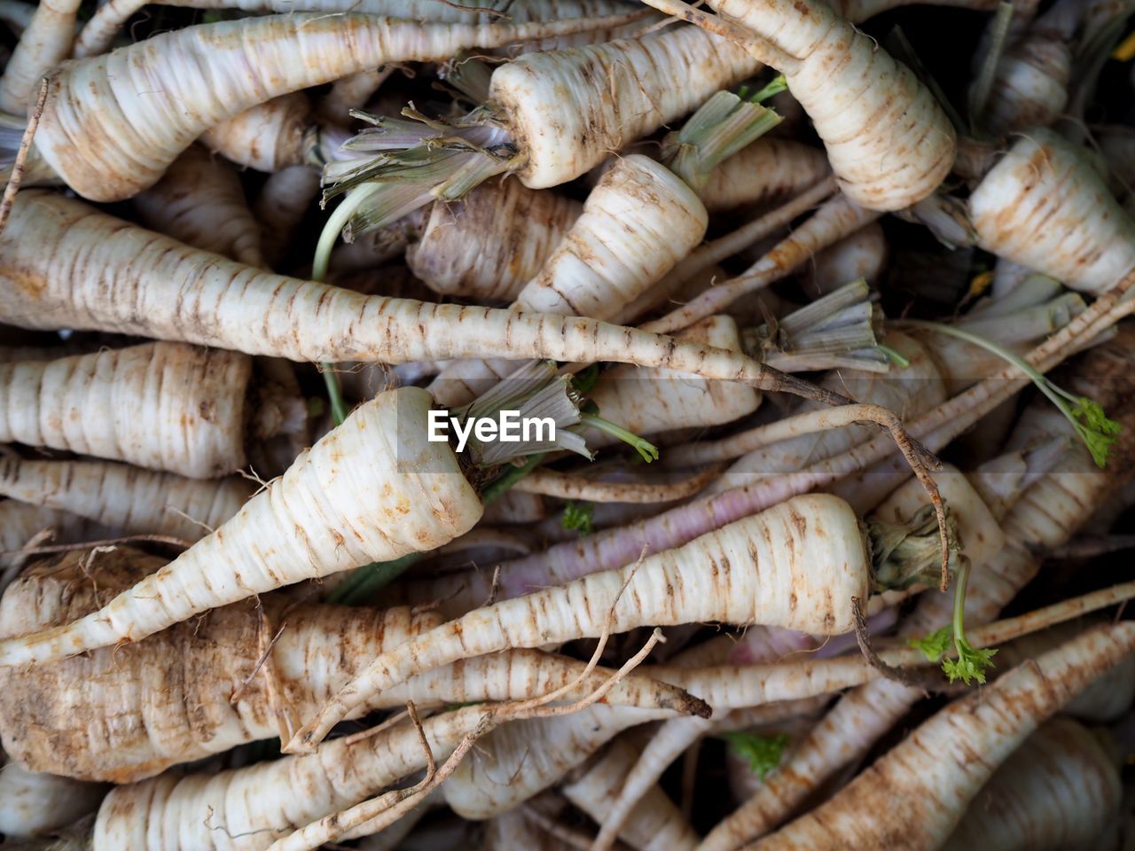 Full frame shot of parsley roots for sale in market