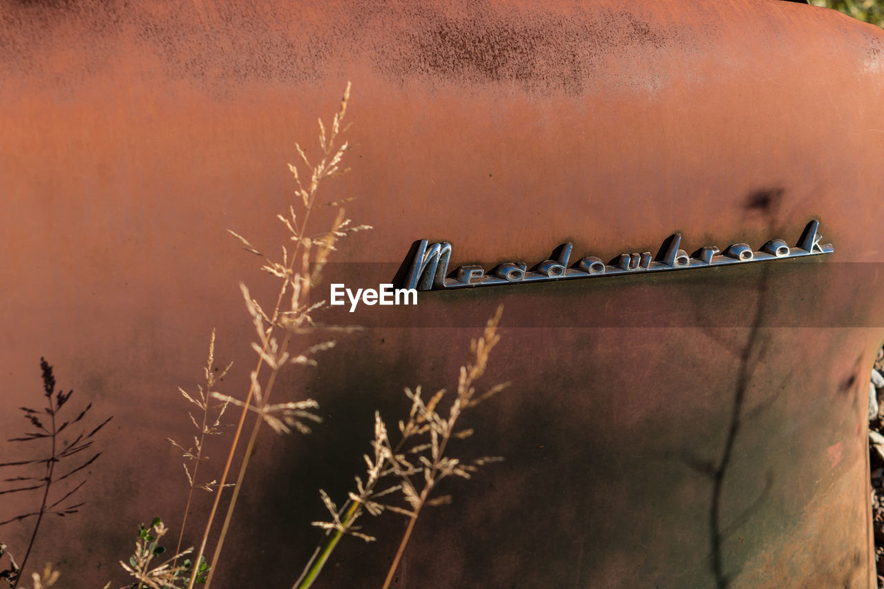 Close-up of abandoned car parked in field