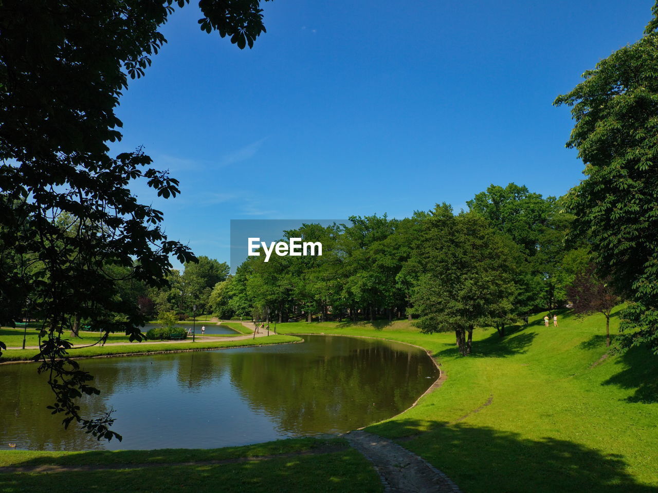 SCENIC VIEW OF LAKE BY TREES AGAINST SKY