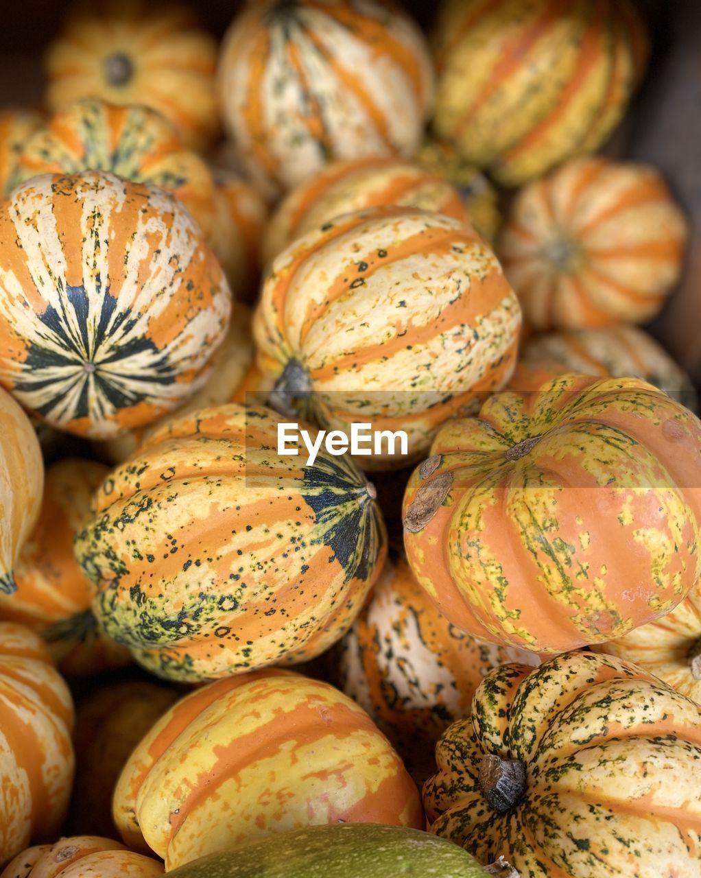 Full frame shot of pumpkins at market stall