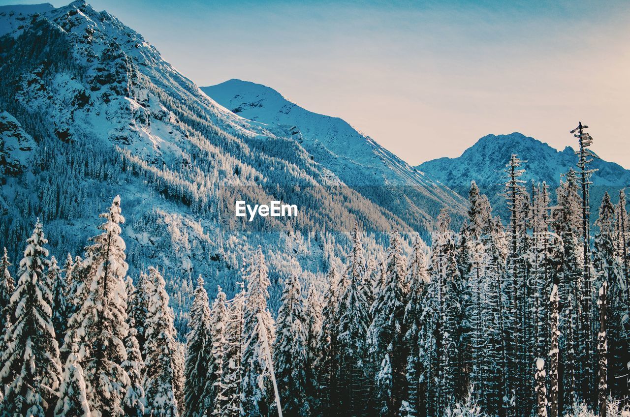 Panoramic view of snowcapped mountains against sky