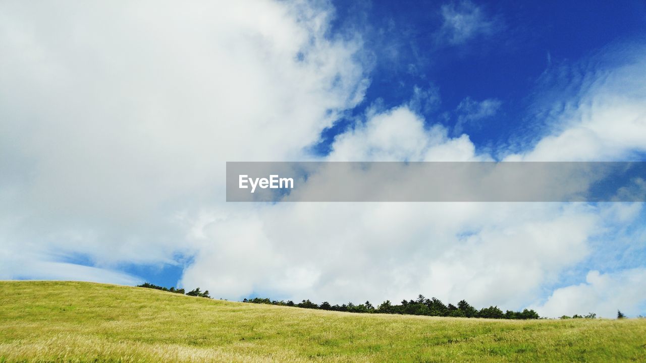 Low angle view of grassy field against sky