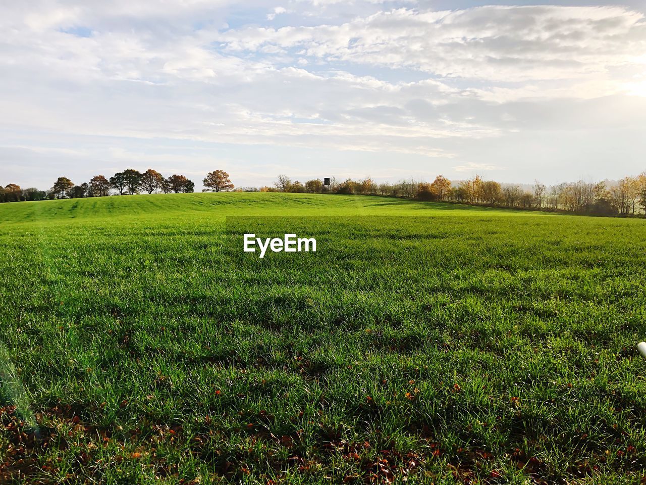 SCENIC VIEW OF LAND AGAINST SKY