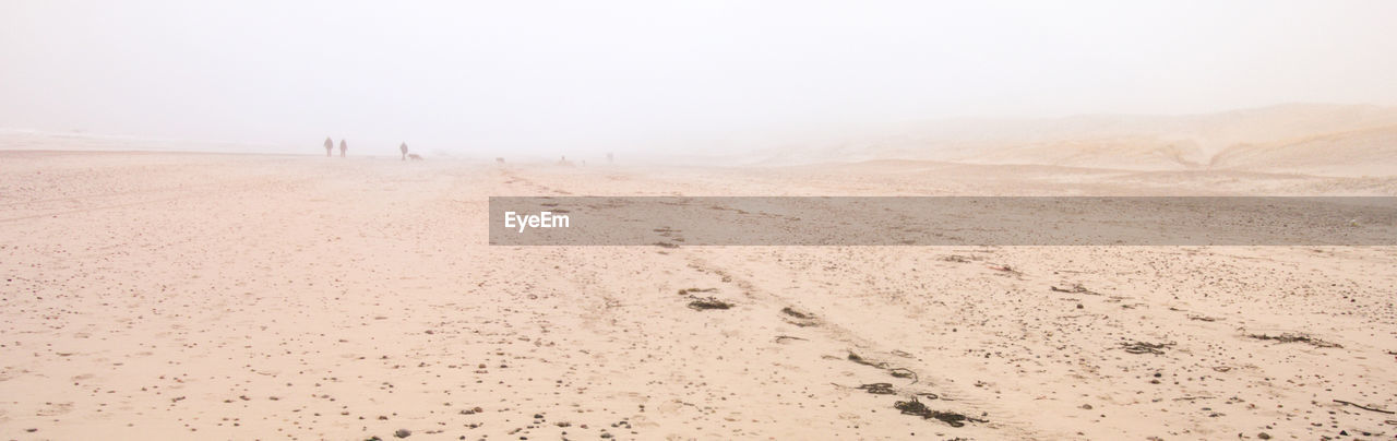 Scenic view of desert against sky during winter