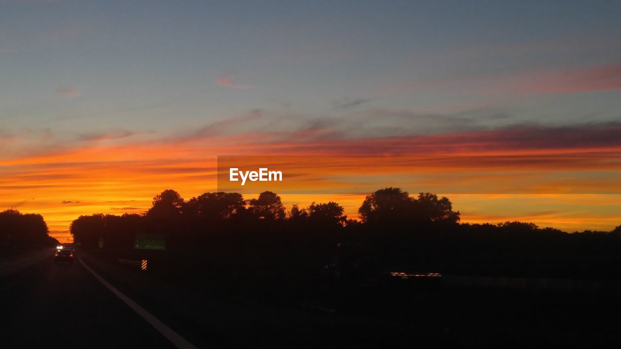 Silhouette of trees at sunset