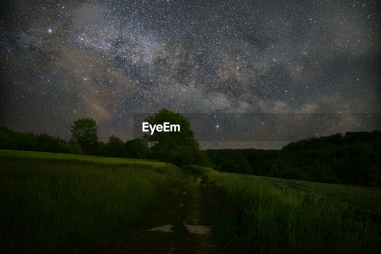 The milky way rises over a field 