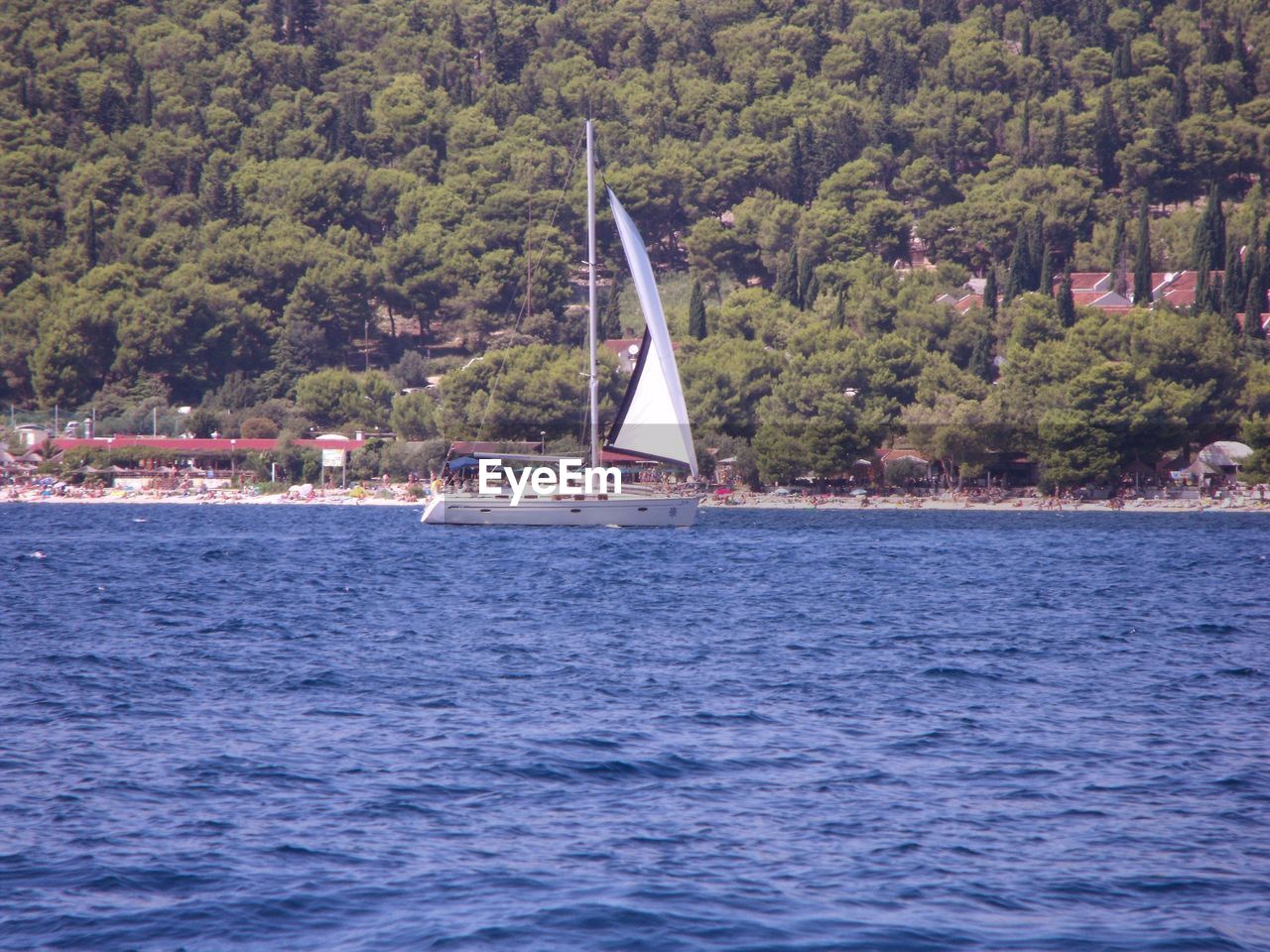 SAILBOATS IN SEA