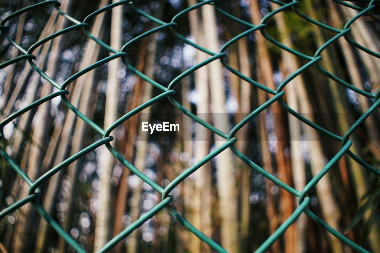 Full frame shot of chainlink fence against trees