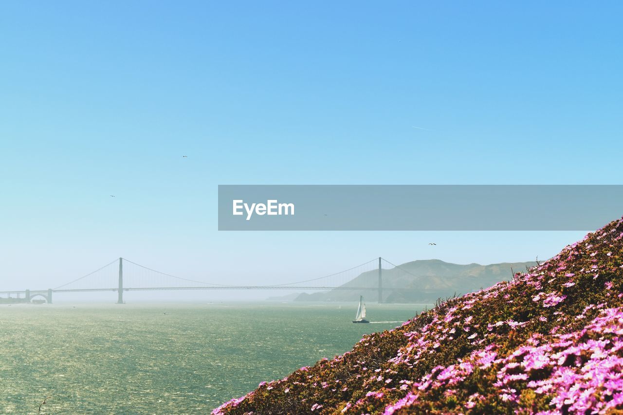 SCENIC VIEW OF SUSPENSION BRIDGE AGAINST CLEAR SKY