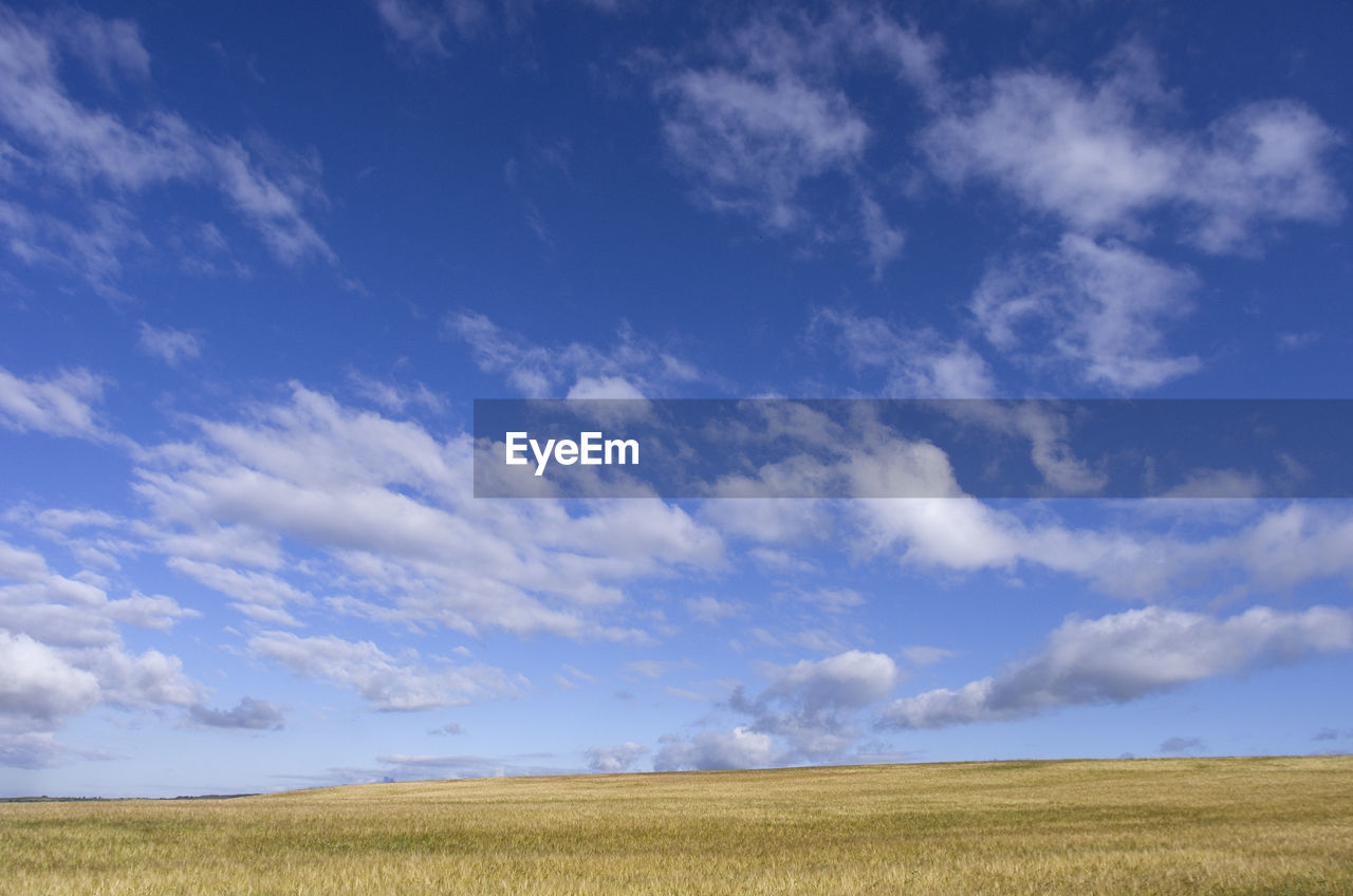 Scenic view of field against blue sky