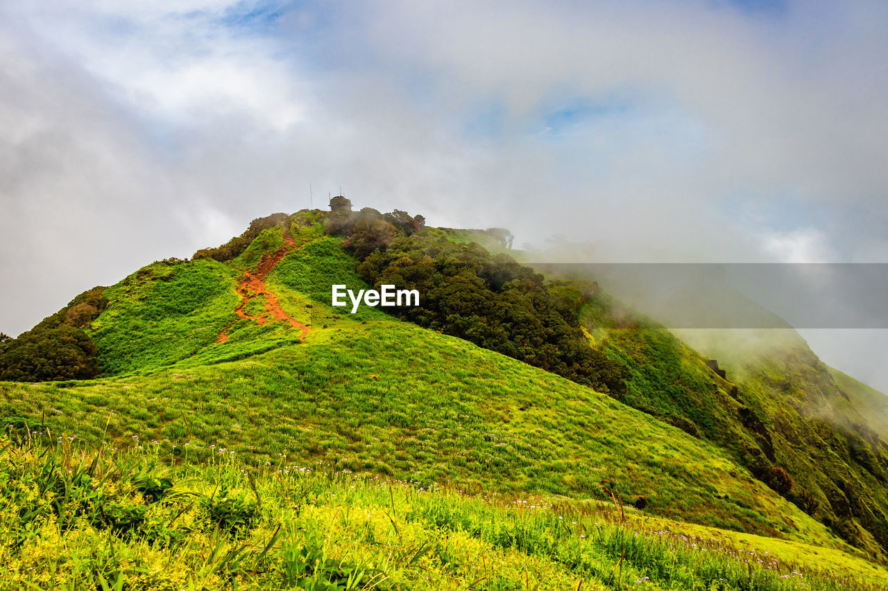Mountain with green grass and thick clouds