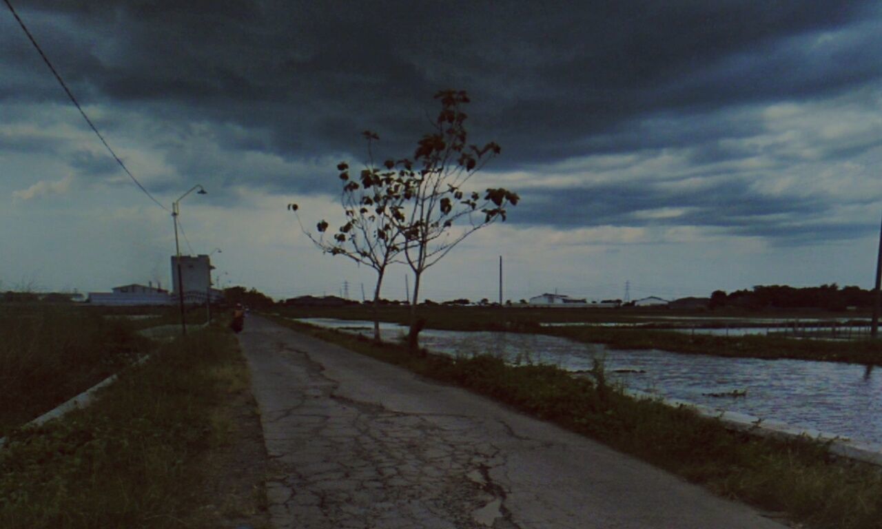 ROAD AMIDST TREES AGAINST SKY