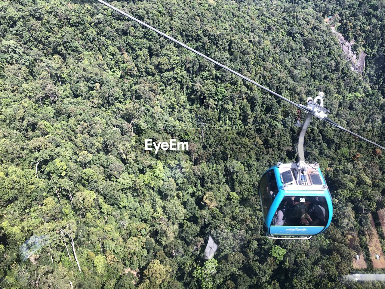 OVERHEAD CABLE CAR AGAINST TREES