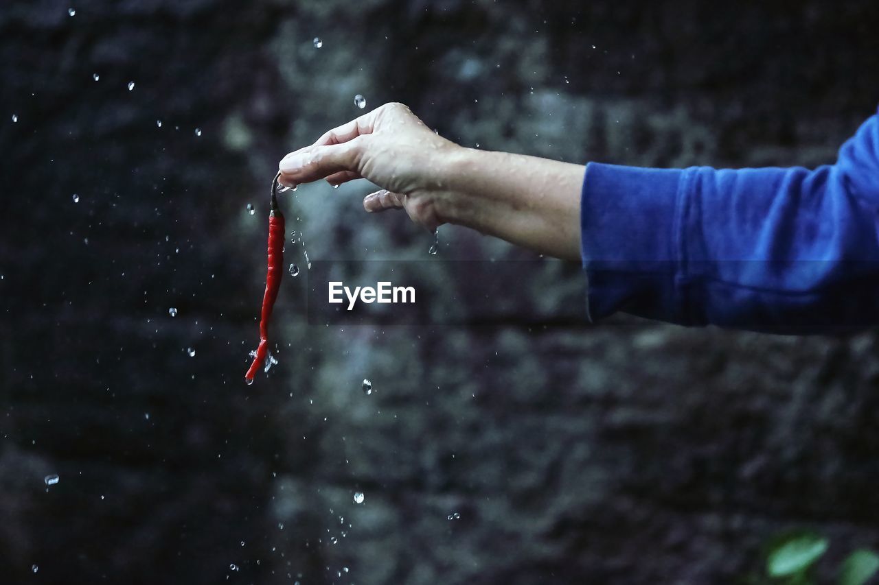 Close-up of hand holding red chili pepper