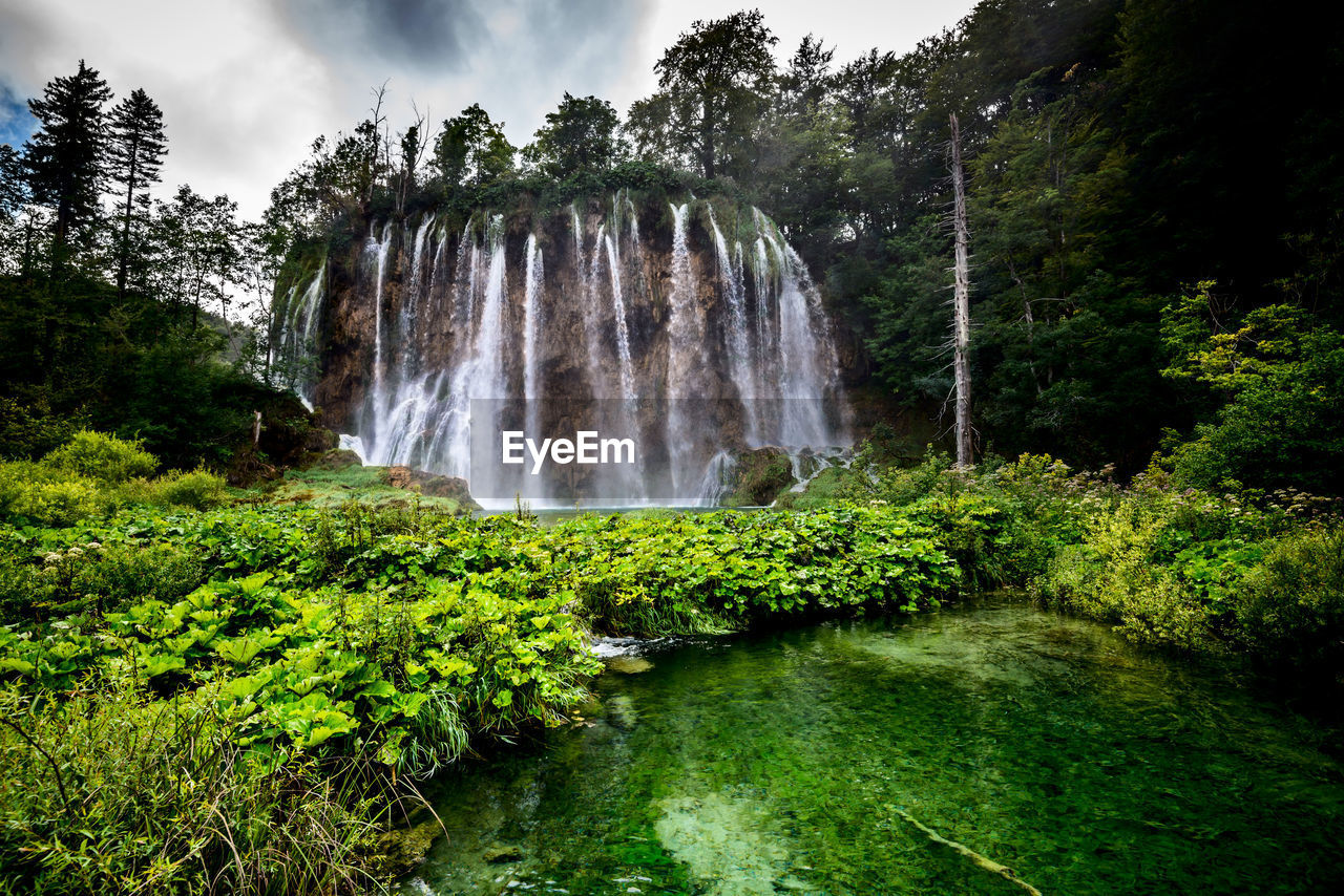 Scenic view of waterfall in forest plitvicka jezera national park croatia