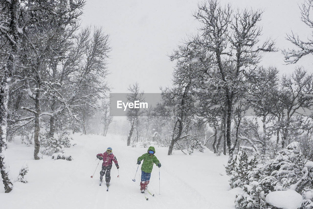 Kids snowshoeing in forest