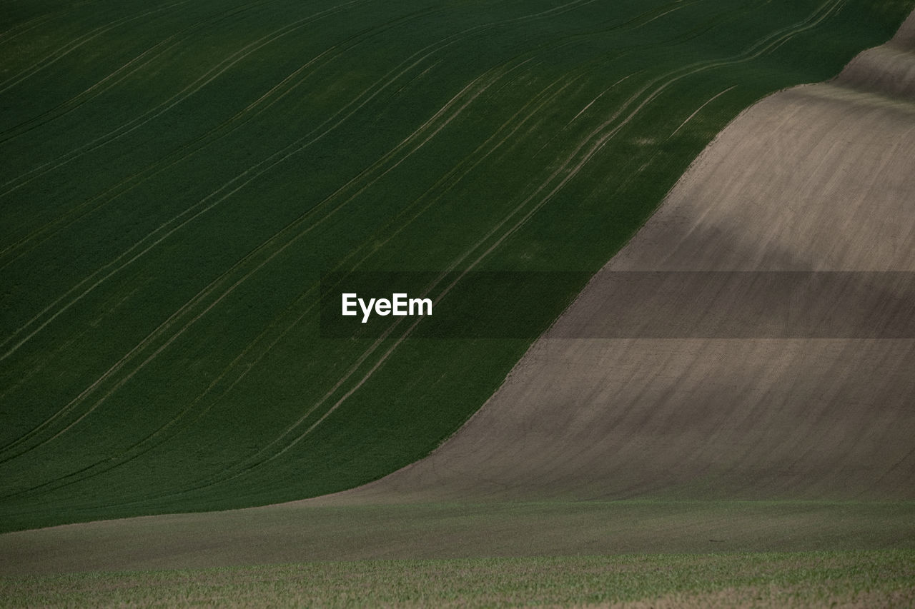 full frame shot of agricultural field