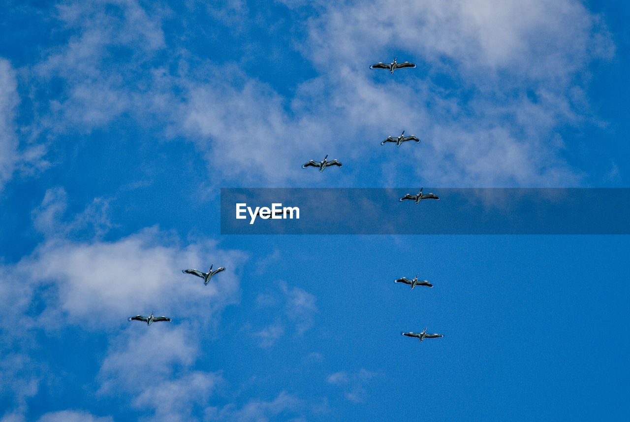 LOW ANGLE VIEW OF AIRSHOW AGAINST SKY