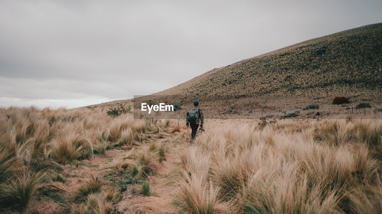 Rear view of man walking on land