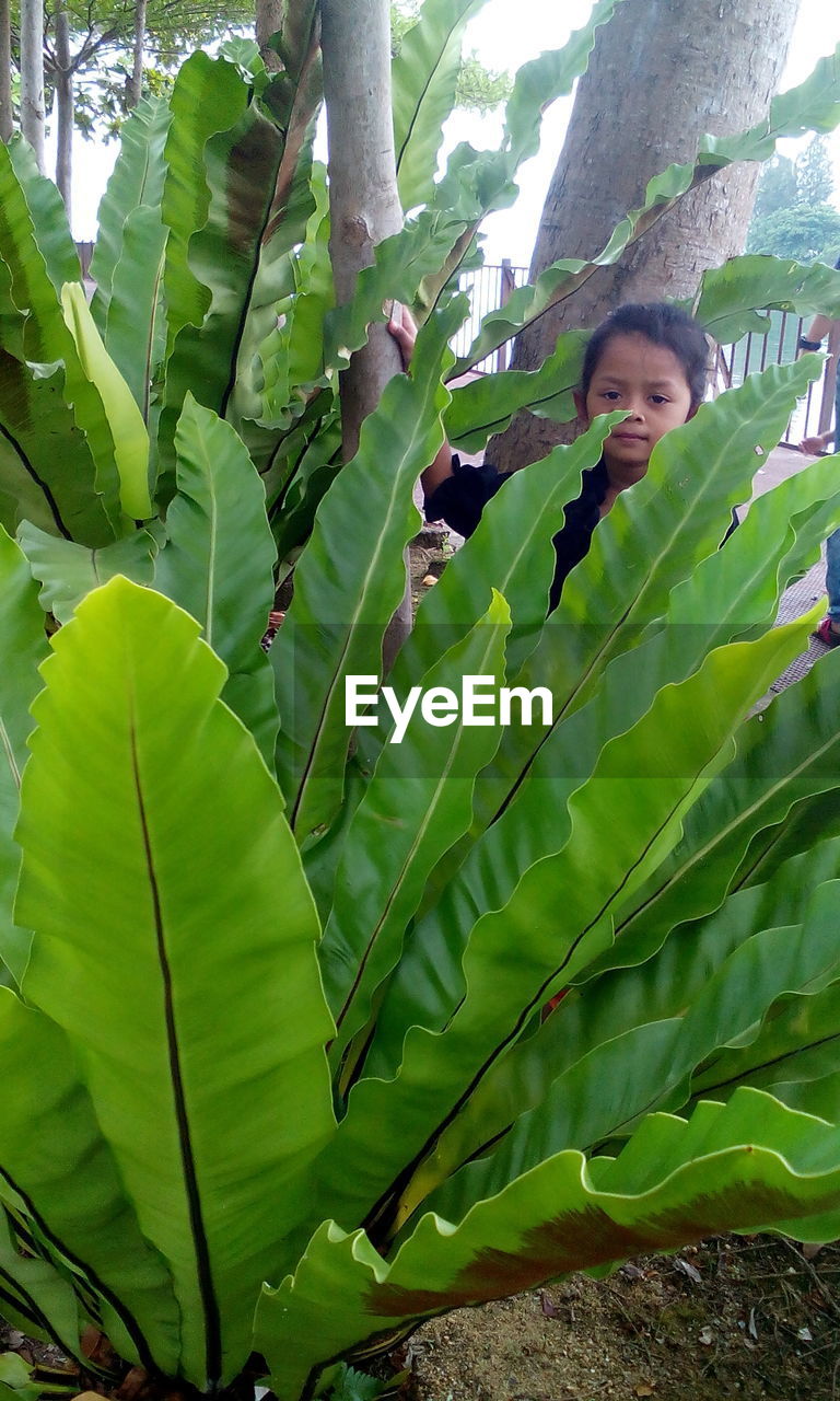 Cute girl by plants in garden