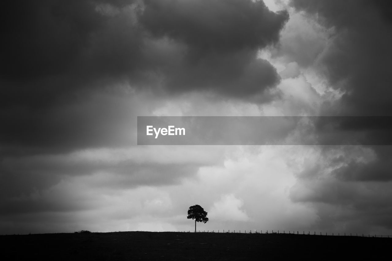 Silhouette of horse on field against storm clouds