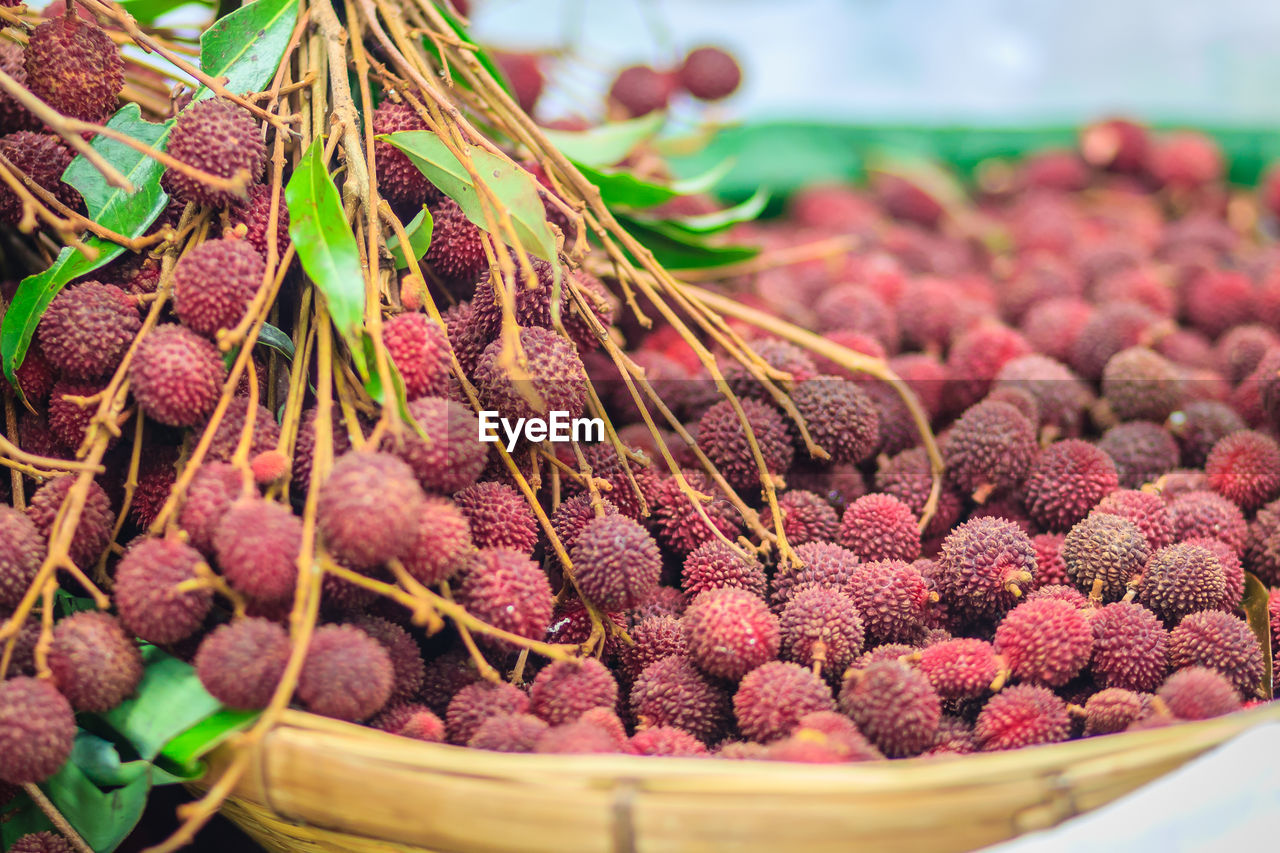 CLOSE-UP OF FRUITS IN MARKET