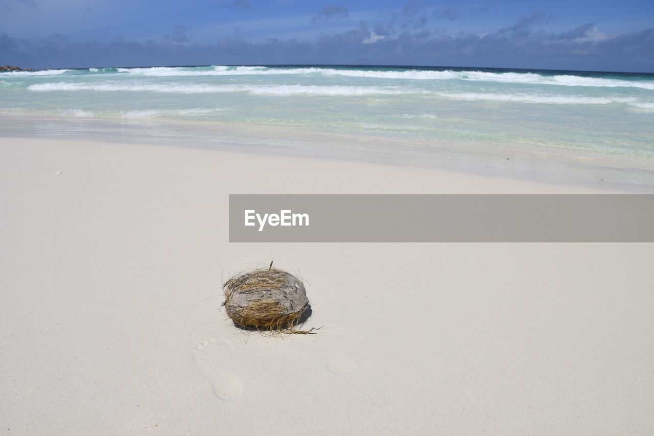 VIEW OF A BEACH